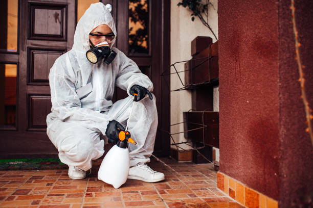 Reliable Cockroach Control contractor in New Market, VA by Nex Pest Control