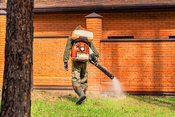 Trusted Rodent Control service in New Market, VA - Nex Pest Control